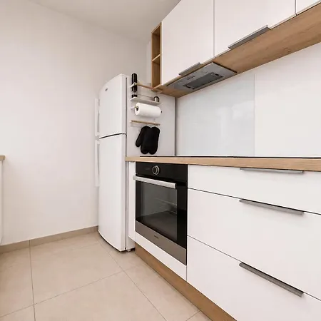 Le Citronnier De La Méditerranée Montpellier